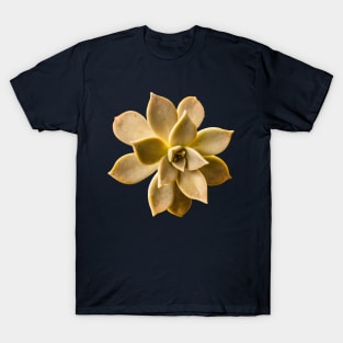 flower T-Shirt